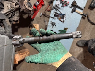 image2 (3).jpeg