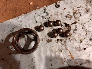 image1 (3).jpeg